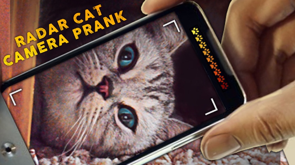 Radar Cat Camera Prank - 1.2 - (iOS)