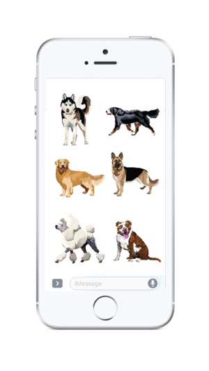 Realistic Dog Art - Dogs, Terrier, Black Lab, Pug(圖2)-速報App