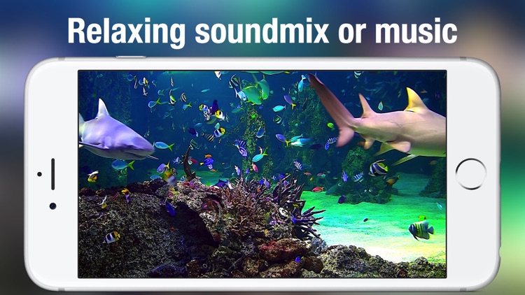 Aquarium Live +: Nature & coral reef ocean scenes screenshot-4