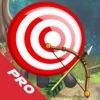 Arrow Target Multi PRO - Ambush Explorer Game