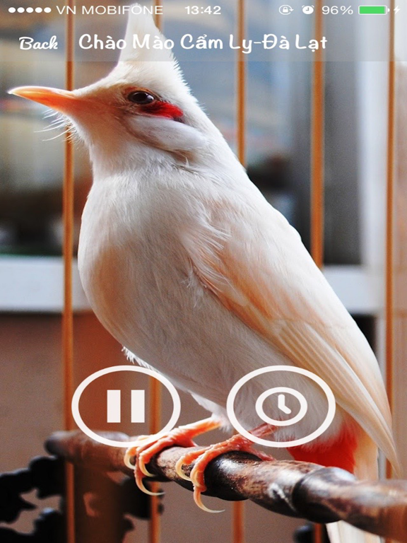 Screenshot #5 pour Tiếng chim hót - Sound Bird