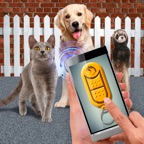 Training Pet Clicker
