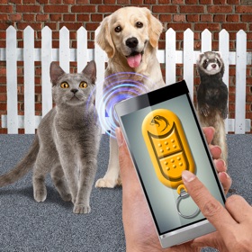 螢幕擷取畫面 (3) Training Pet Clicker