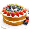 Cake and Frostings Recipes