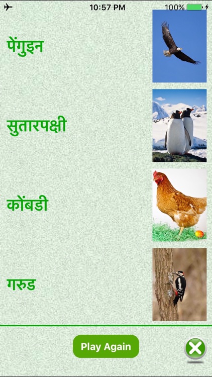 FlashCards Marathi Lesson screenshot-3