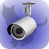 WebCamera