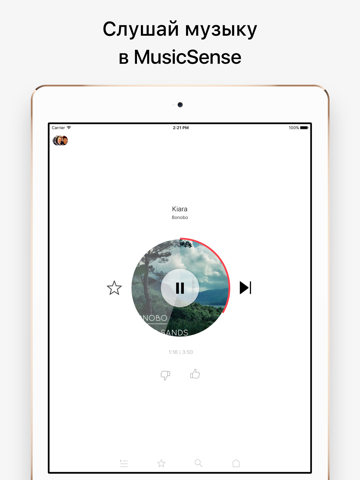 Скриншот из MusicSense