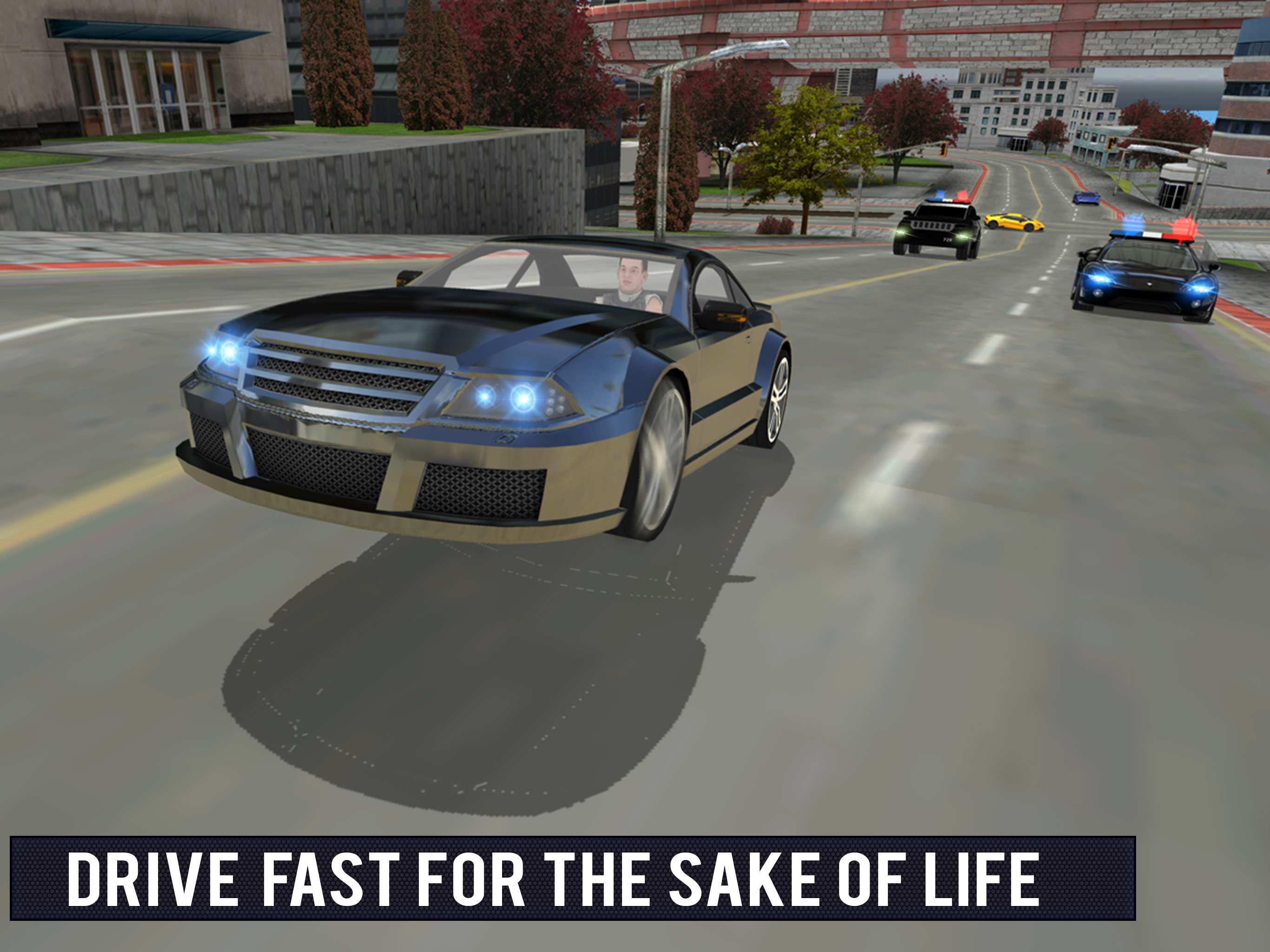 Police Car Gangster Escape Sim