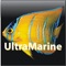 Welcome to one of the world's leading marine specialist magazines