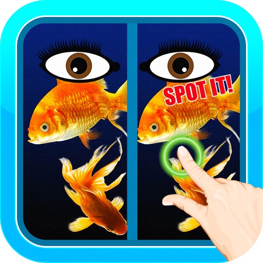 Find Spot The Difference #9 iOS App
