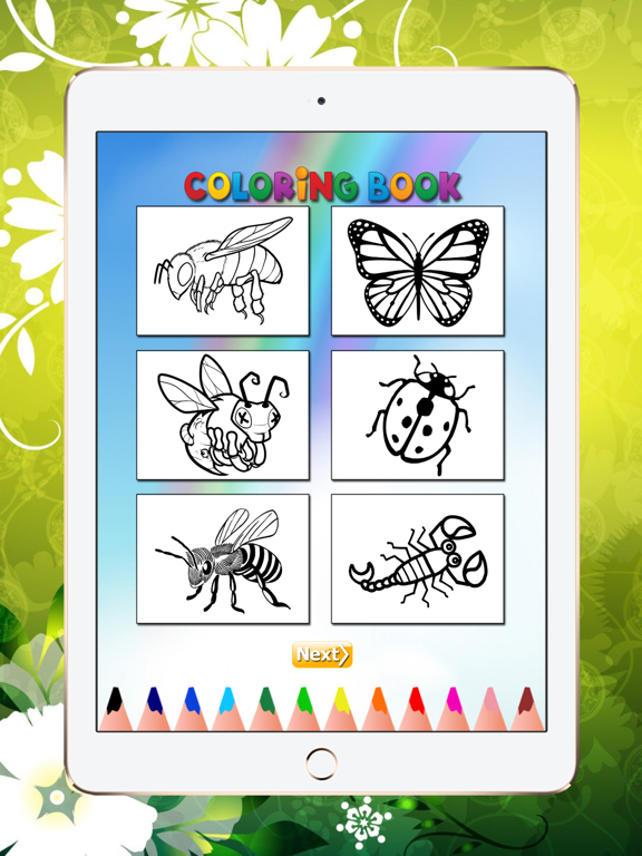 Coloring Book Insect and Arachnid: Learn to paint and color a bee, spider and more iPad screenshot