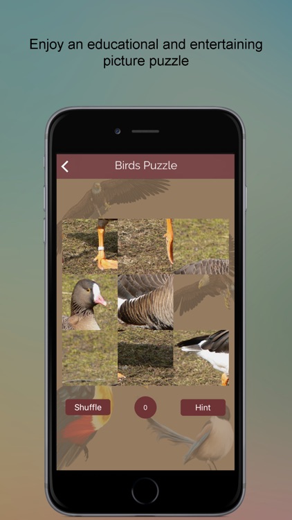 Non-Passerine Bird Dictionary screenshot-3