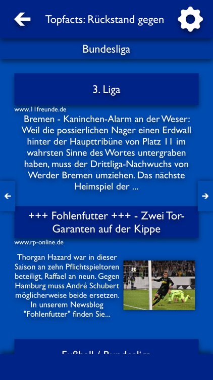 ATN - Alle Nachrichten für TSG 1899 Hoffenheim screenshot-4