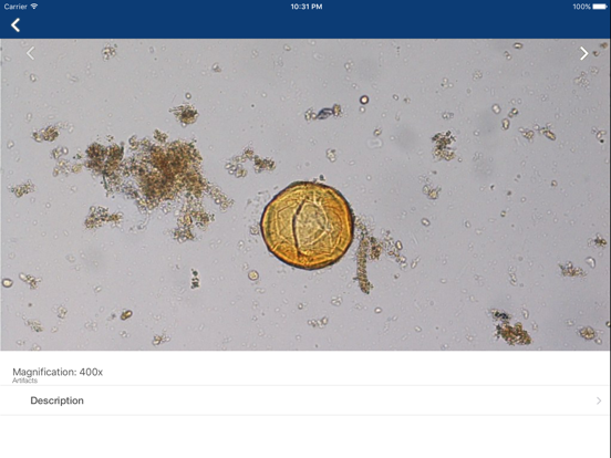 Screenshot #5 pour Parasitology