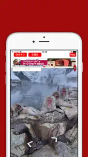 360-degree panoramic viewer - street viewing tool iphone screenshot 1