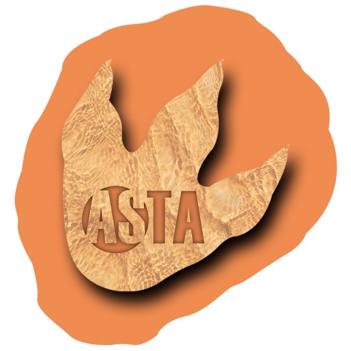 RAlly Asta Icon
