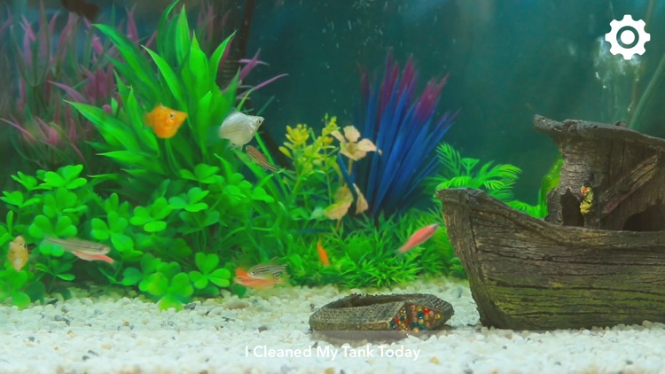 Happy Fishtank screenshot-3