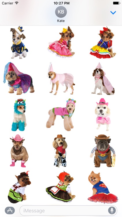 Costume Dogs