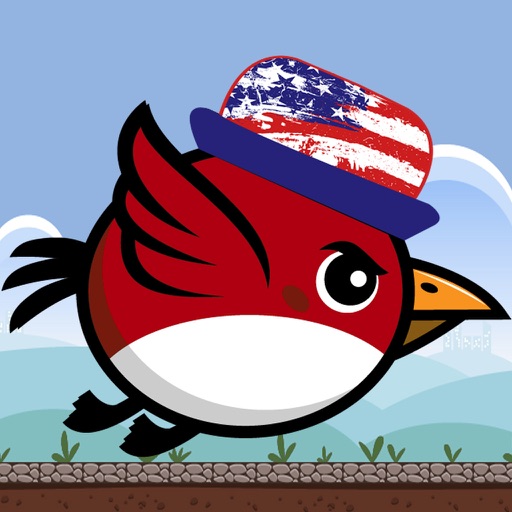 USA Bird PRO Icon