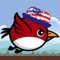 USA Bird PRO