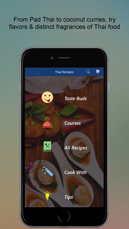 Thai food recipes Cookbook
