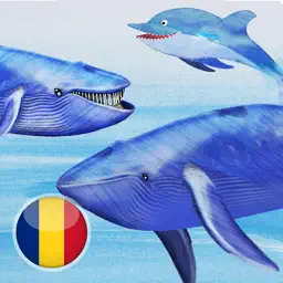 Balene si delfini app icon