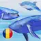 Balene si delfini anmeldelser