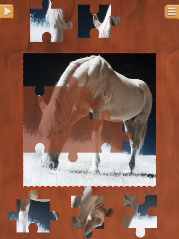Horse Puzzle Games - Amazing Logic Puzzles iPad screenshot