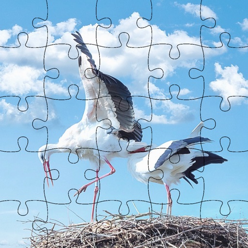 Jigsaw Puzzles For Kids: Storks and Birds Icon