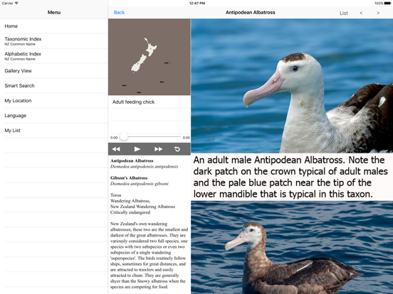 Birds of New Zealand iPad app afbeelding 4