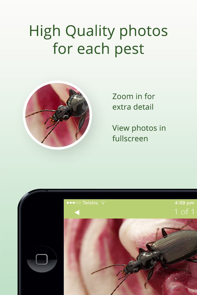 Veg Pest ID screenshot 3