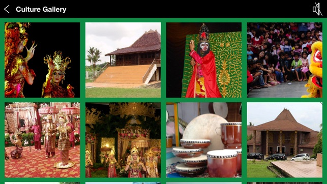Wonderful South Sumatra(圖3)-速報App