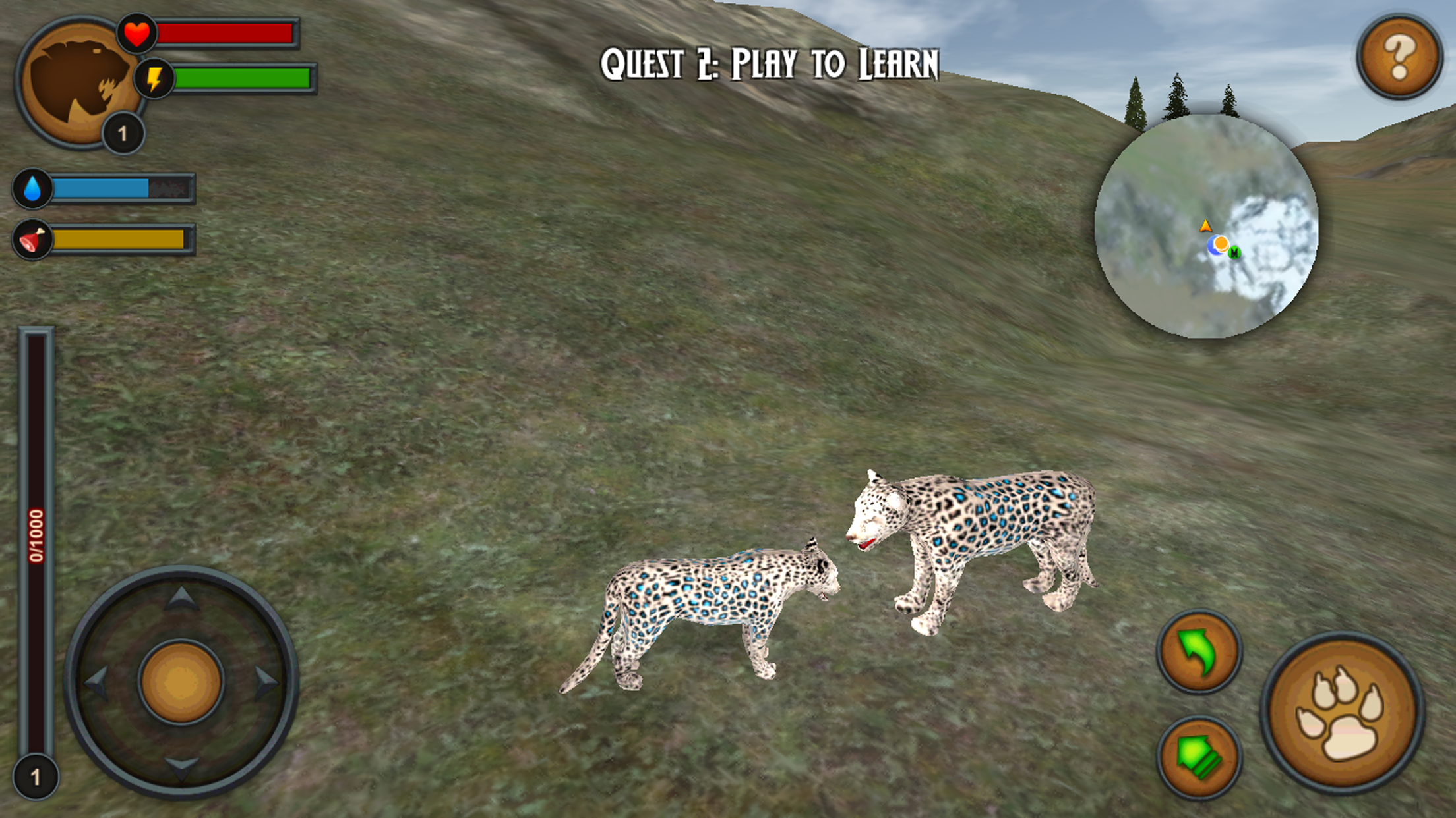 Leopards of the Arctic