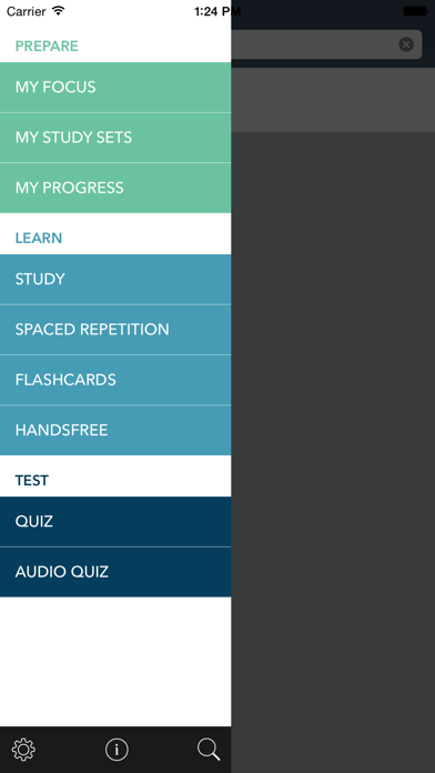 Screenshot #1 pour Arabic Essentials