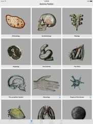 anatomy - 1k+ illustrations айпад изображения 1