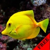 Fish Video and Photo Galleries FREE