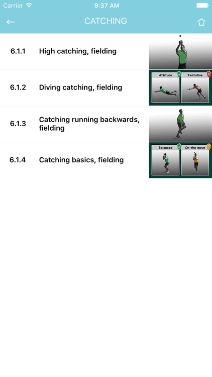 Geelong Grammar Cricket