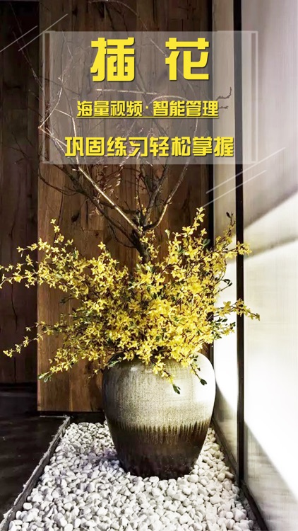 插花教程-插花设计艺术入门视频教程