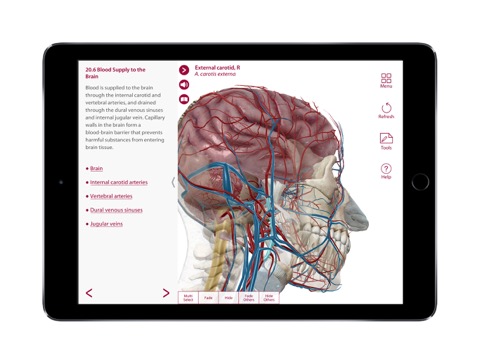 For Organizations - 2017 Anatomy & Physiologyのおすすめ画像2