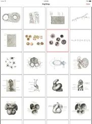 anatomy - 1k+ illustrations айпад изображения 3