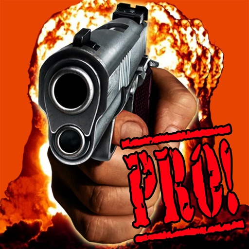 Picture It Pro icon