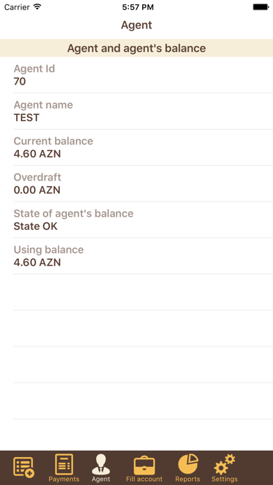 Screenshot #3 pour E-GovPay Terminal