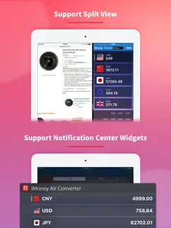 IMoney Air · Currency Exchange iPad image 2