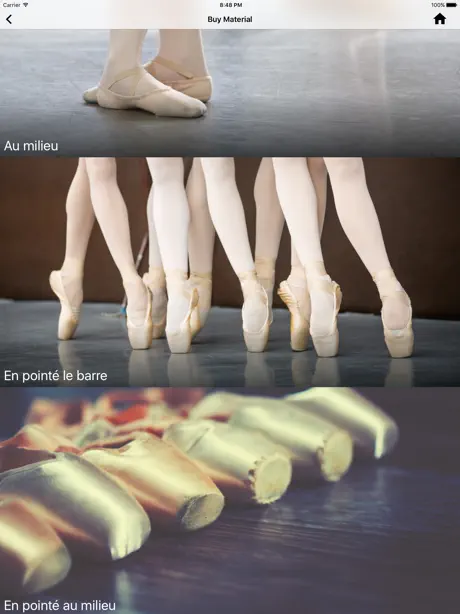 Ballet Teacher Companion