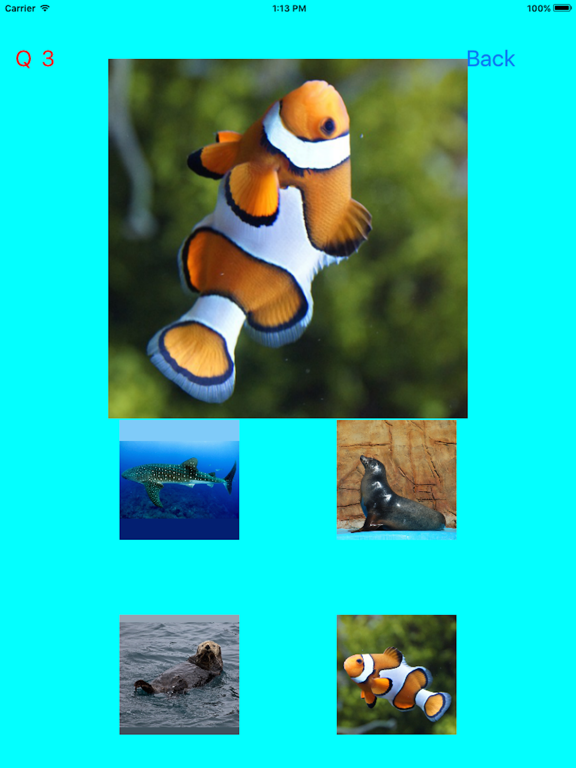 Screenshot #4 pour Which Is The Same Fish? for Clownfish and Friends