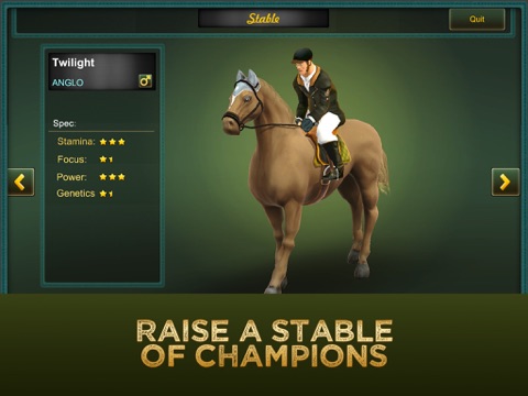 Jumping Horses Champions 3 screenshot 4