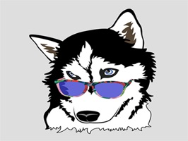 Spam your friends or cover up some text that you don't want to see with Joey Ahern and Steel the Husky stickers