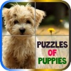 Puzzles of Puppies Free