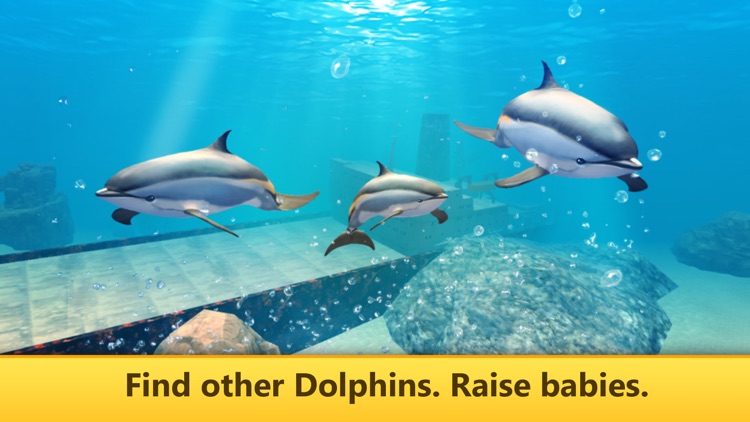 Ocean Dolphin Simulator: Animal Quest 3D Full screenshot-3