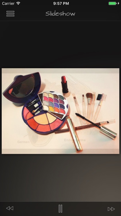 List of Allergens Details screenshot-3